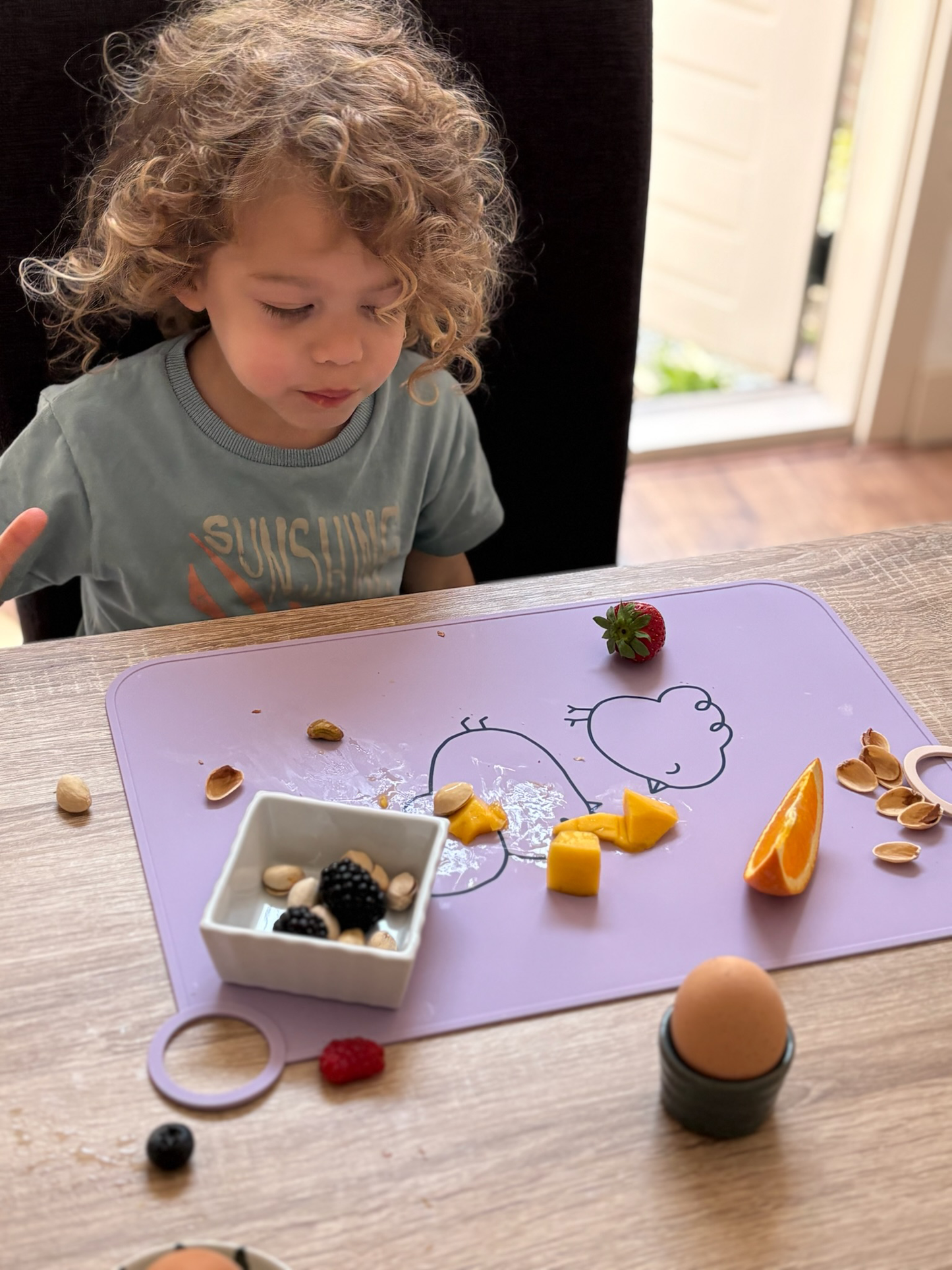 Fluffy Birds Foldable Silicone Placemat