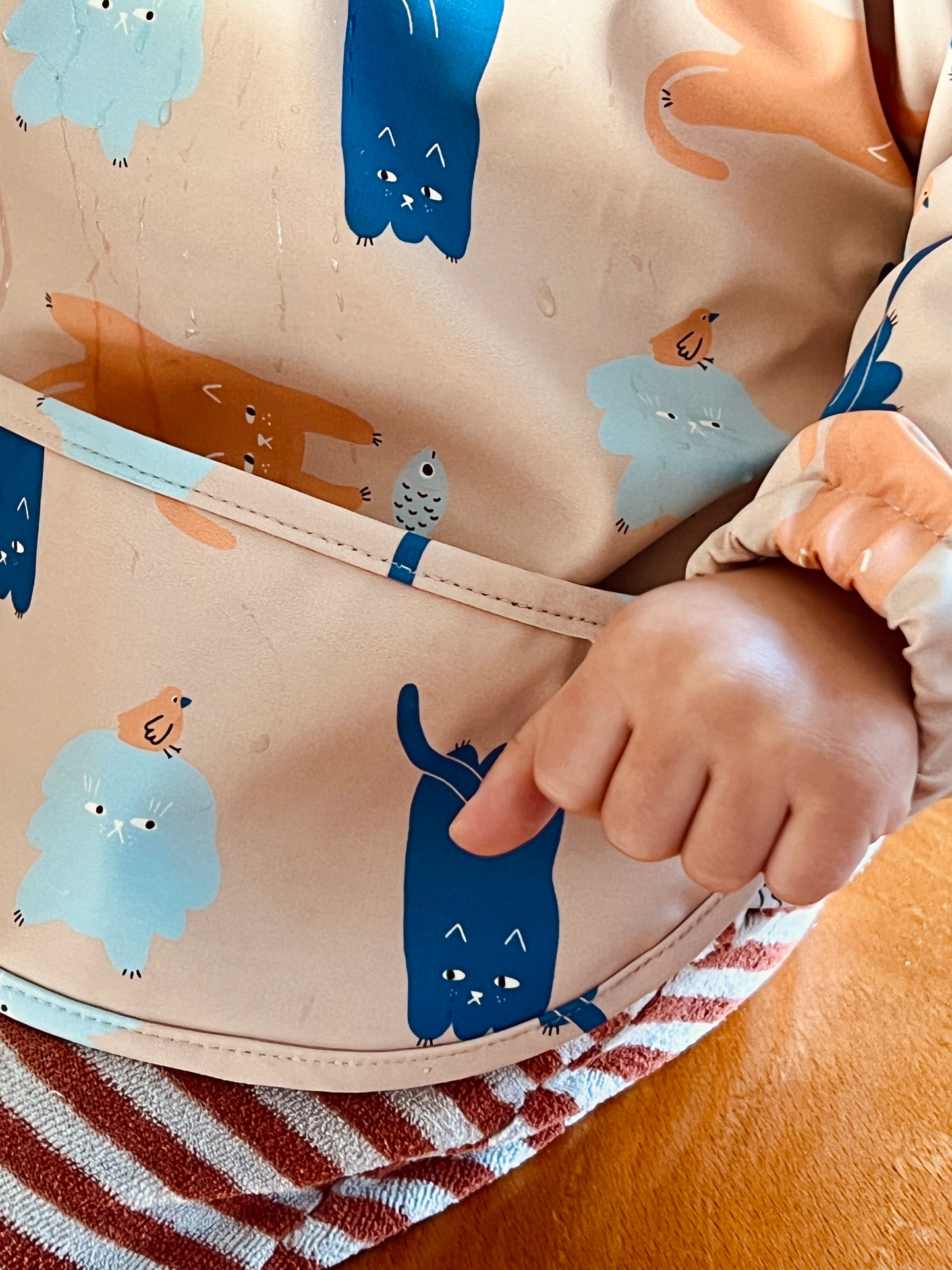 To Catch a Fish Waterproof Bibs